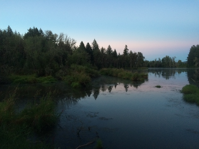 Pond south of Forest Grove, 5:30am