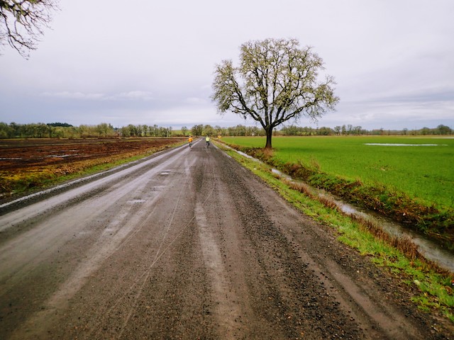 Photo of Gabe and Jeff on McFarland Road